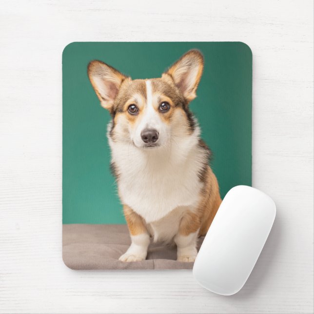 Cutest Baby Animals | Corgi on Teal Mouse Mat (With Mouse)