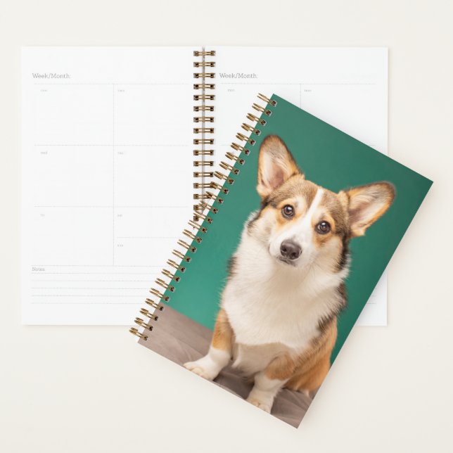 Cutest Baby Animals | Corgi on Teal Planner (Display)