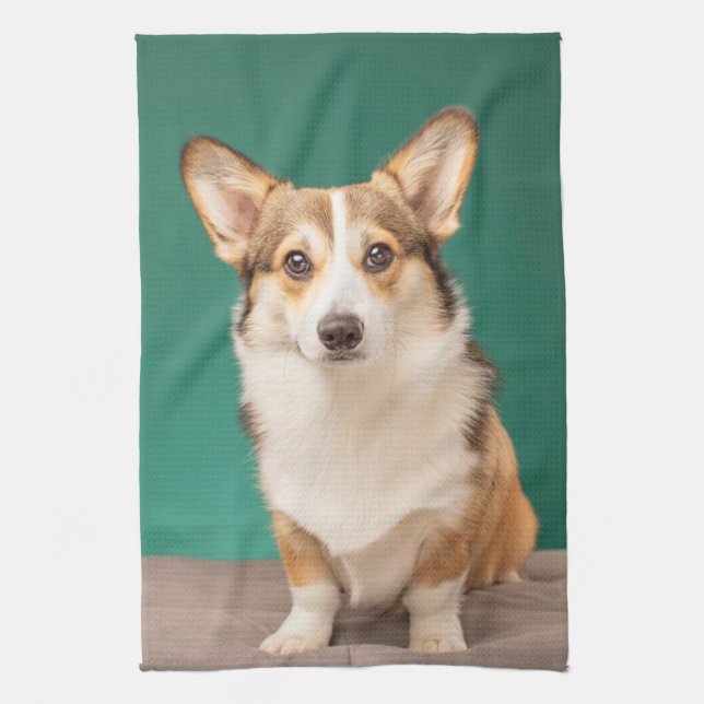 Cutest Baby Animals | Corgi on Teal Tea Towel (Vertical)