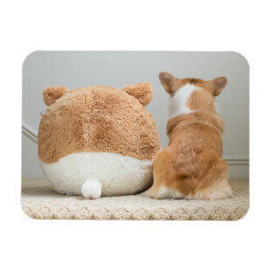 Cutest Baby Animals Corgi & Plush Puppy Magnet