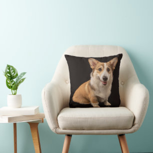 Cutest Baby Animals   Corgi Portrait on Black Cushion