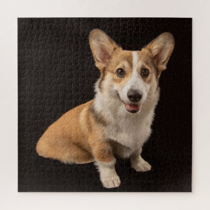 Cutest Baby Animals   Corgi Portrait on Black Jigsaw Puzzle