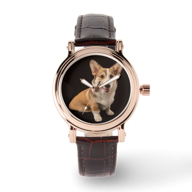 Cutest Baby Animals | Corgi Portrait on Black Watch (Front)