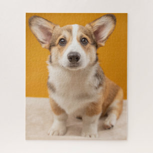 Cutest Baby Animals   Corgi Portrait on Orange Jigsaw Puzzle