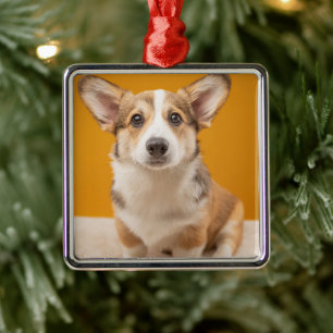 Cutest Baby Animals Corgi Portrait on Orange Metal Tree Decoration