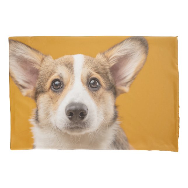 Cutest Baby Animals | Corgi Portrait on Orange Pillowcase (Front)