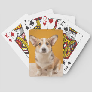 Cutest Baby Animals   Corgi Portrait on Orange Playing Cards