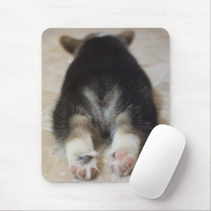 Cutest Baby Animals   Corgi Puppy Behind Mouse Mat