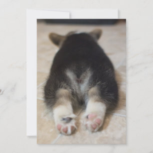 Cutest Baby Animals   Corgi Puppy Behind Thank You Card