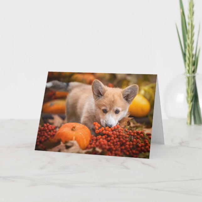 Cutest Baby Animals | Corgi Puppy  in Autumn Card (Front)