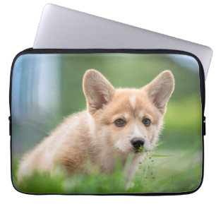 Cutest Baby Animals Corgi Puppy in the Yard Laptop Sleeve