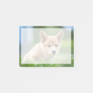 Cutest Baby Animals Corgi Puppy in the Yard Post-it Notes