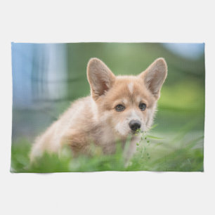 Cutest Baby Animals   Corgi Puppy in the Yard Tea Towel