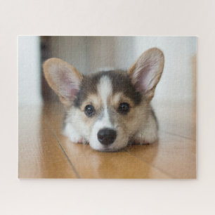 Cutest Baby Animals   Corgi Puppy Looking Jigsaw Puzzle