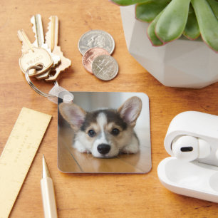 Cutest Baby Animals Corgi Puppy Looking Key Ring