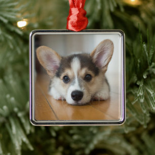 Cutest Baby Animals Corgi Puppy Looking Metal Tree Decoration