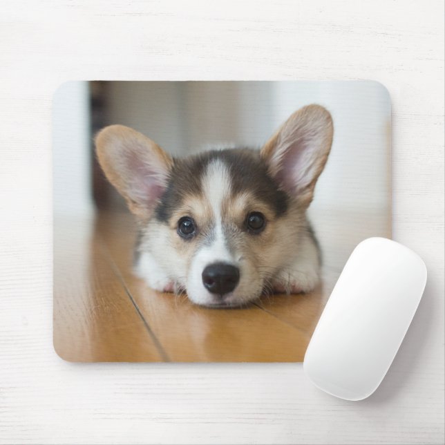 Cutest Baby Animals | Corgi Puppy Looking Mouse Mat (With Mouse)
