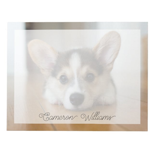 Cutest Baby Animals | Corgi Puppy Looking Notepad (Front)