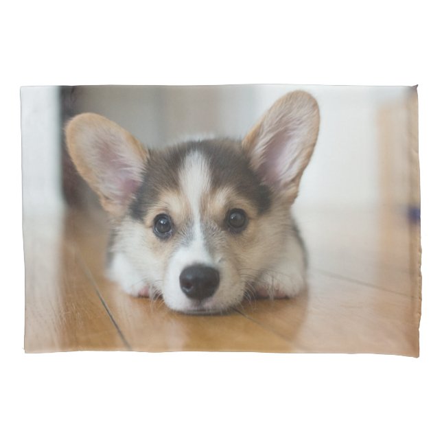 Cutest Baby Animals | Corgi Puppy Looking Pillowcase (Front)