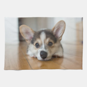 Cutest Baby Animals Corgi Puppy Looking Tea Towel