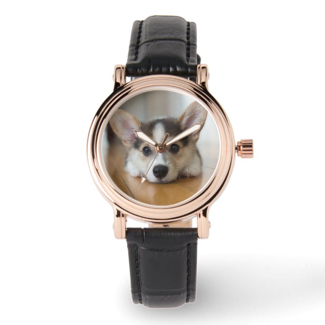 Cutest Baby Animals | Corgi Puppy Looking Watch (Front)