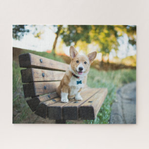 Cutest Baby Animals   Corgi Puppy on a Park Bench Jigsaw Puzzle