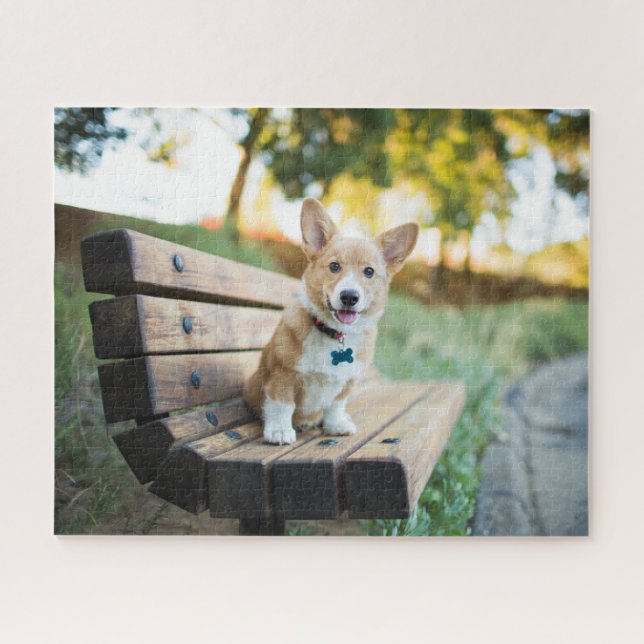 Cutest Baby Animals | Corgi Puppy on a Park Bench Jigsaw Puzzle (Horizontal)