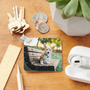 Cutest Baby Animals Corgi Puppy on a Park Bench Key Ring
