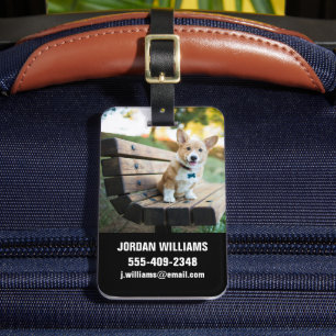 Cutest Baby Animals   Corgi Puppy on a Park Bench Luggage Tag