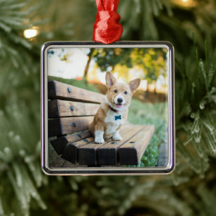 Cutest Baby Animals Corgi Puppy on a Park Bench Metal Tree Decoration
