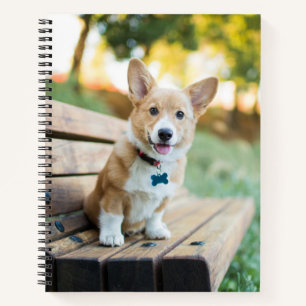 Cutest Baby Animals Corgi Puppy on a Park Bench Notebook