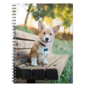 Cutest Baby Animals Corgi Puppy on a Park Bench Notebook