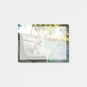 Cutest Baby Animals Corgi Puppy on a Park Bench Post-it Notes