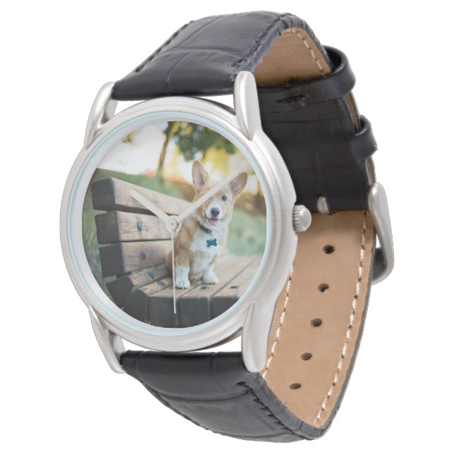 Cutest Baby Animals | Corgi Puppy on a Park Bench Watch (Angled)