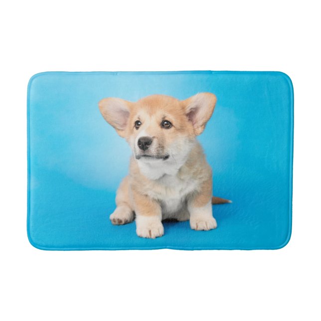 Cutest Baby Animals | Corgi Puppy on Blue Bath Mat (Front)