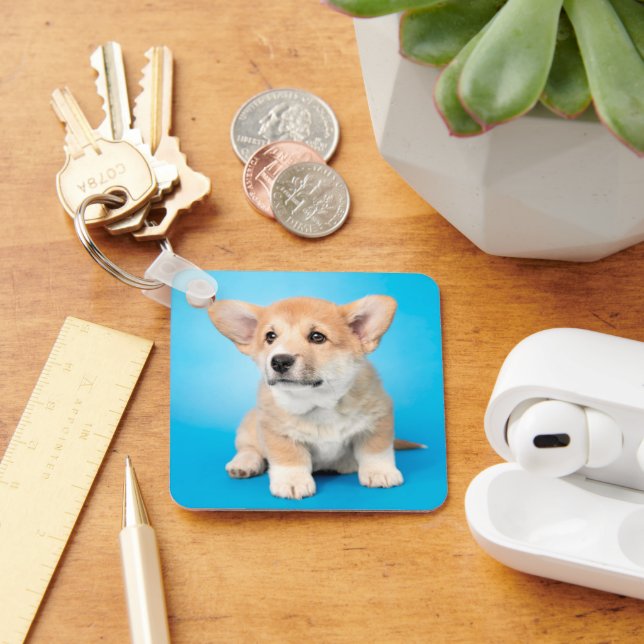 Cutest Baby Animals | Corgi Puppy on Blue Key Ring (Desk)