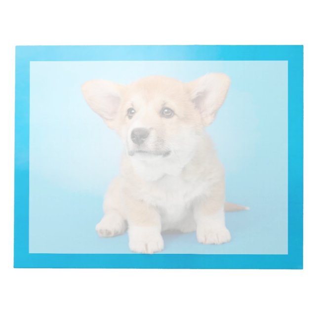 Cutest Baby Animals | Corgi Puppy on Blue Notepad (Front)