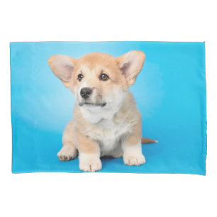 Cutest Baby Animals   Corgi Puppy on Blue Pillowcase