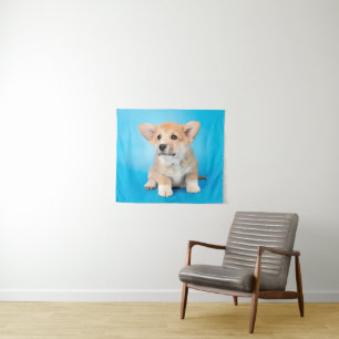 Cutest Baby Animals   Corgi Puppy on Blue Tapestry
