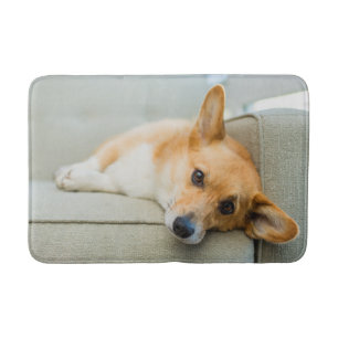 Cutest Baby Animals   Corgi Puppy on Couch Bath Mat