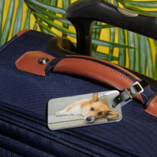 Cutest Baby Animals   Corgi Puppy on Couch Luggage Tag