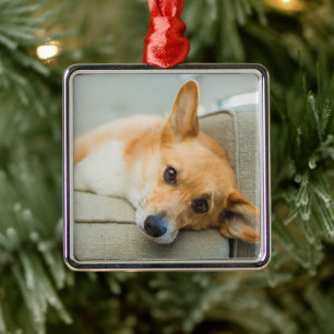 Cutest Baby Animals Corgi Puppy on Couch Metal Tree Decoration