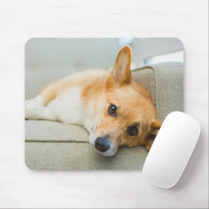 Cutest Baby Animals   Corgi Puppy on Couch Mouse Mat