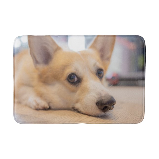 Cutest Baby Animals | Corgi Puppy on Floor Bath Mat (Front)