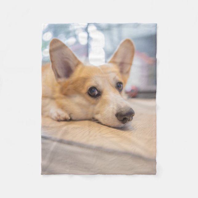 Cutest Baby Animals | Corgi Puppy on Floor Fleece Blanket (Front)