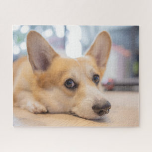 Cutest Baby Animals   Corgi Puppy on Floor Jigsaw Puzzle