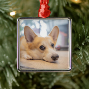 Cutest Baby Animals Corgi Puppy on Floor Metal Tree Decoration