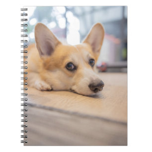 Cutest Baby Animals Corgi Puppy on Floor Notebook