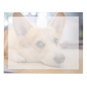Cutest Baby Animals Corgi Puppy on Floor Notepad