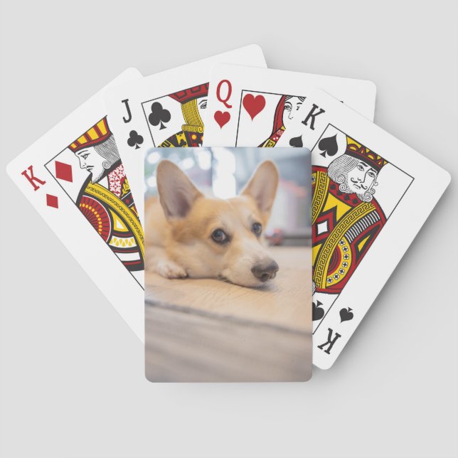 Cutest Baby Animals | Corgi Puppy on Floor Playing Cards (Back)